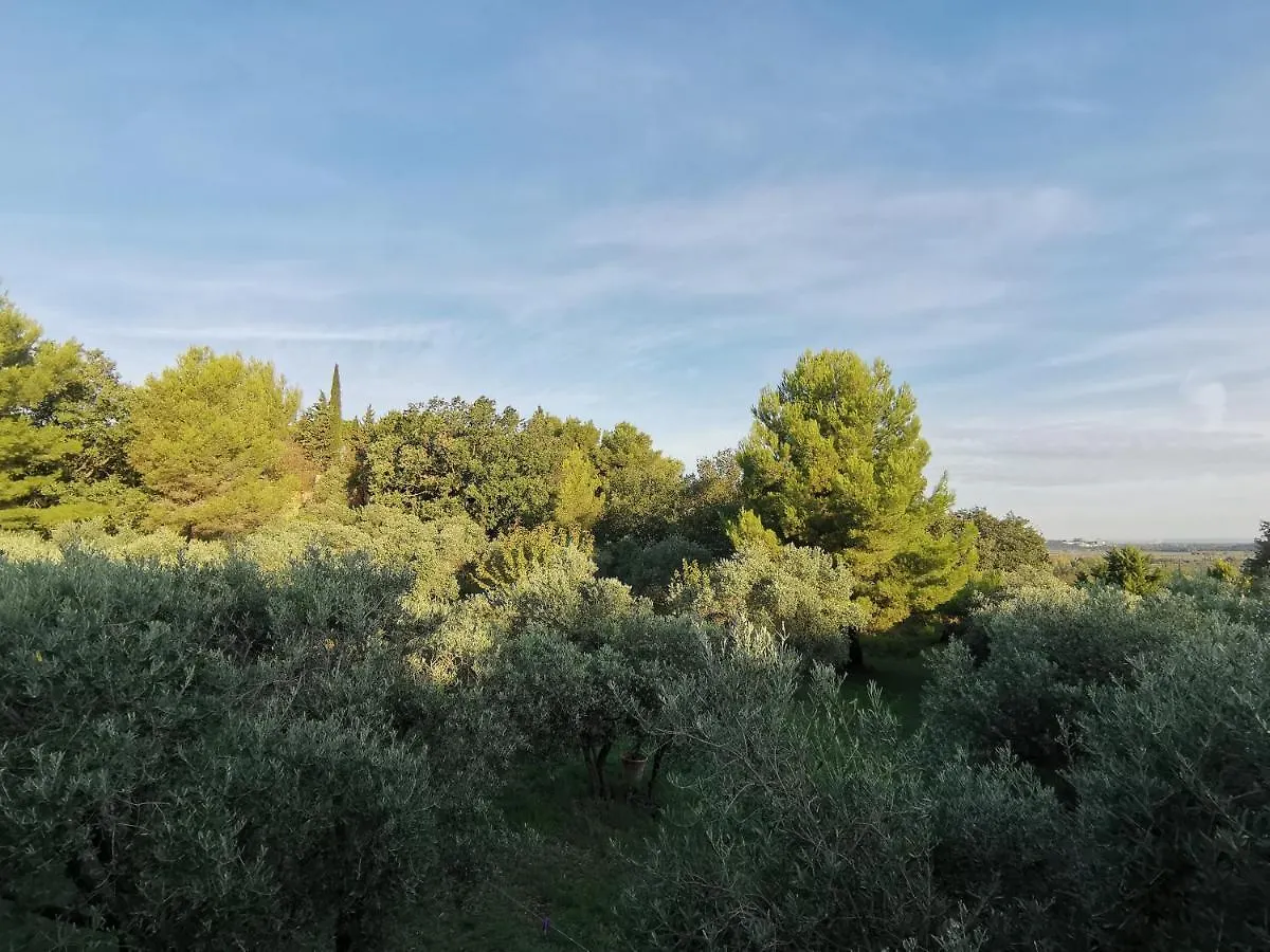 Mas Des Oursons - Chambres D'Hotes Αρλ Πανσιόν
